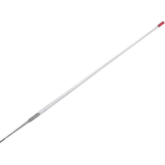 Blunt Practical Rapier Blade For Hanwei Swords